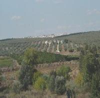 Las mejores ofertas de Hacienda Dos Olivos Aznalcázar